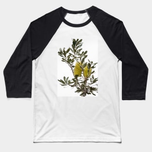 Banksia SYD02 Baseball T-Shirt